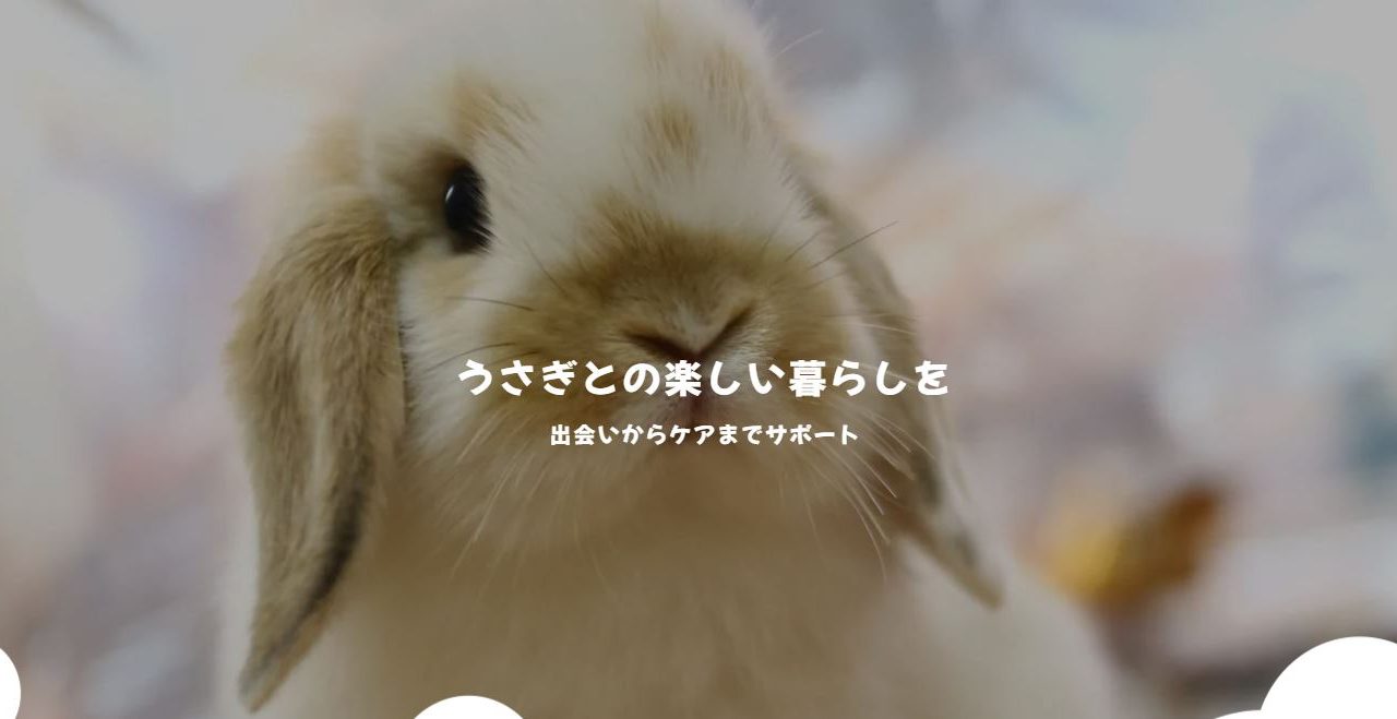 RABBIT COTTON