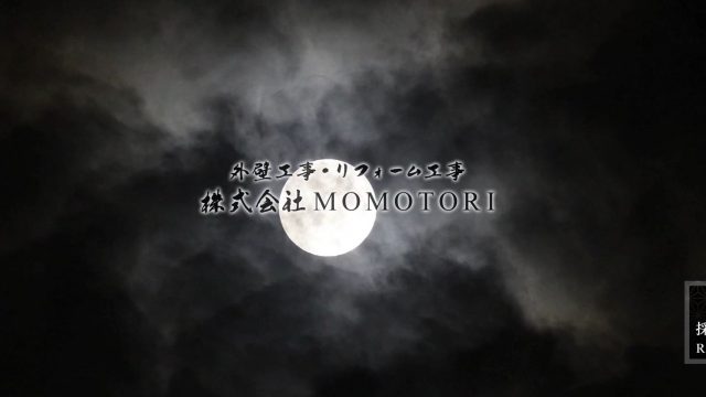 株式会社MOMOTORI